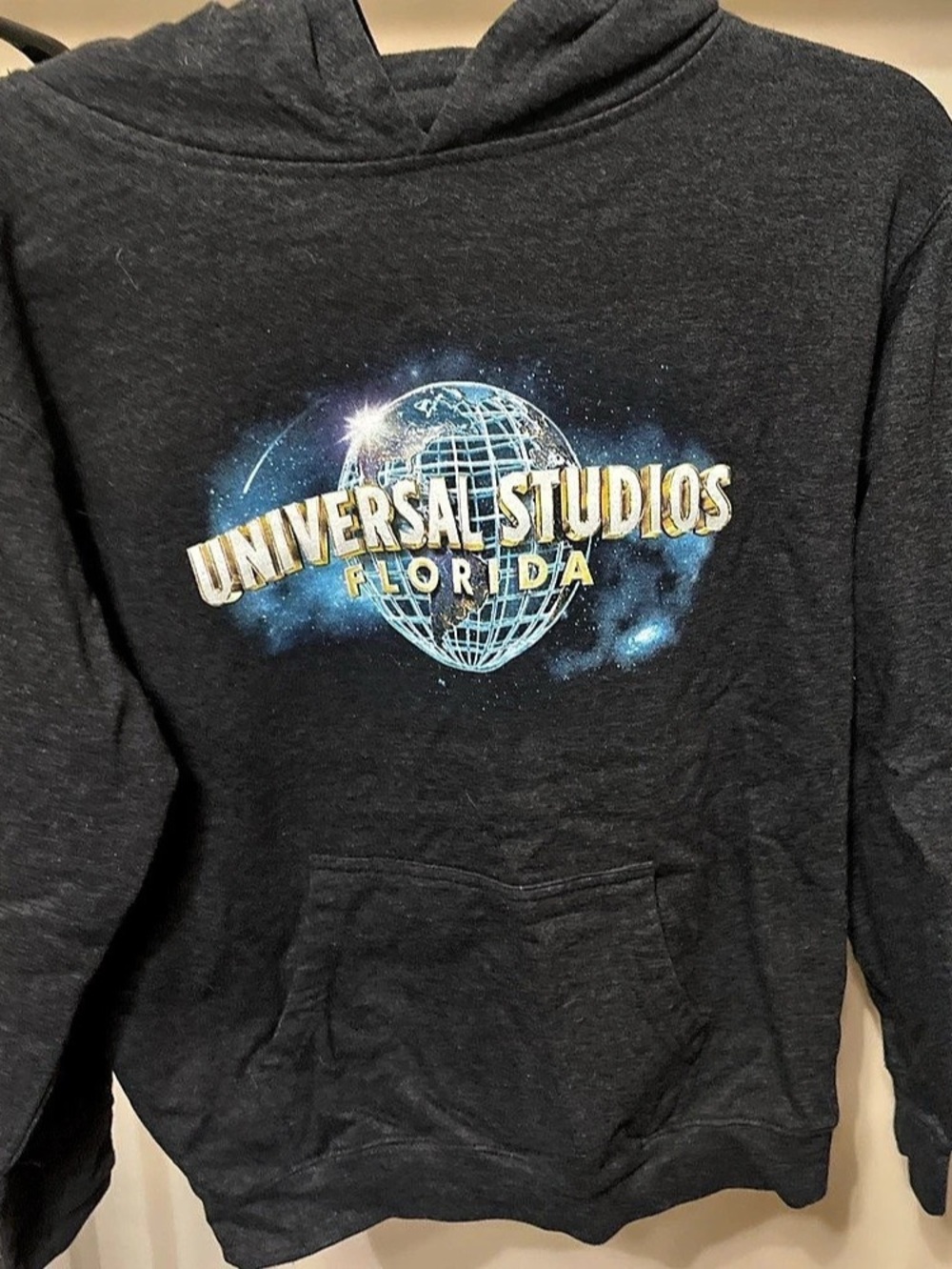 Universal Studios Florida Youth Logo Hoodie Girls Large Gray
